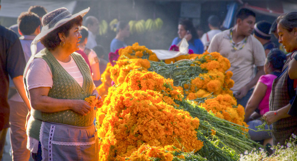 Nods to Norms: Mexico
