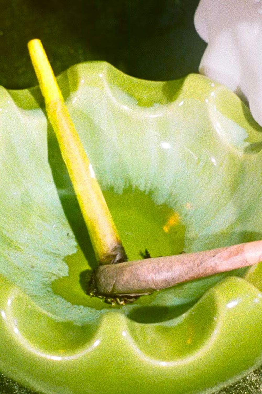 Pre-Rolled Cones (6PK)