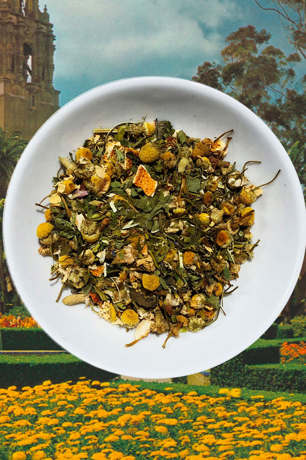 Chronic Wellness Tea for Immune Support