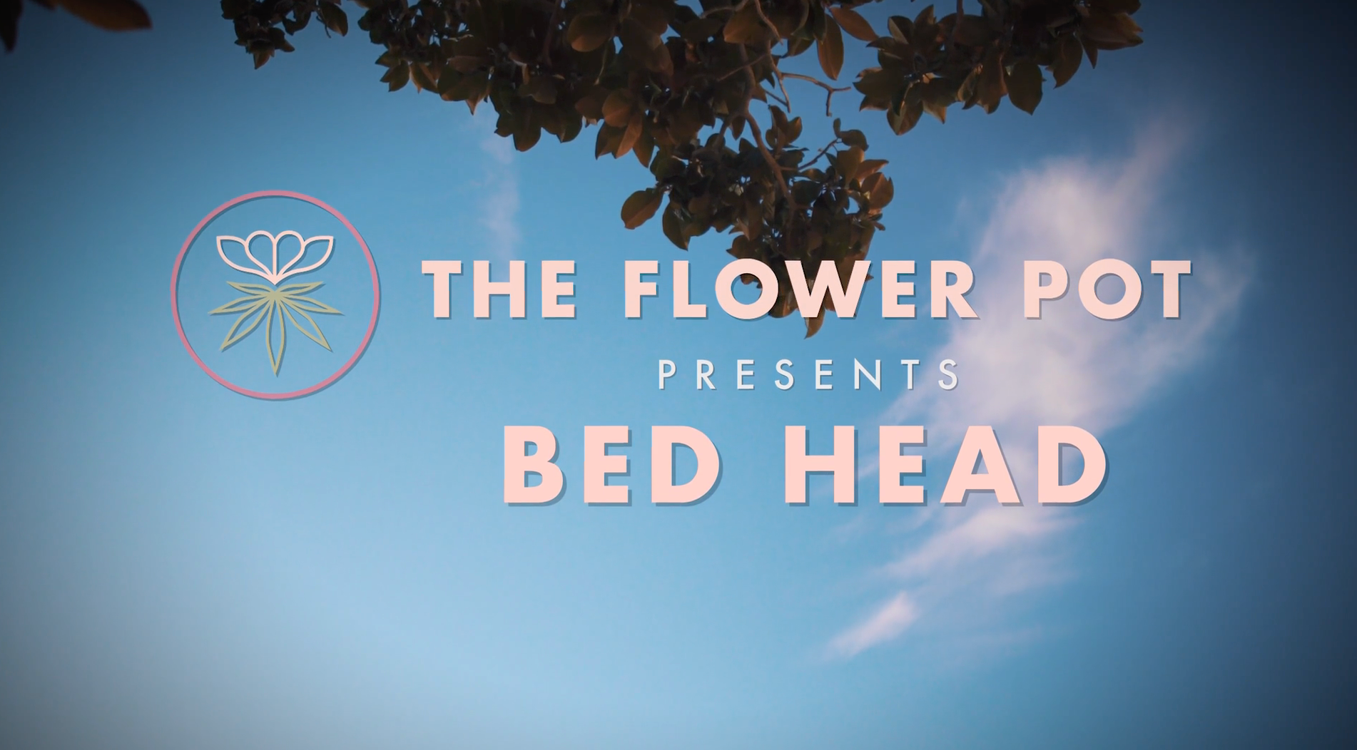 Bed Head: A Sleep + Sex Video Recap<br> by Brooke Burgstahler