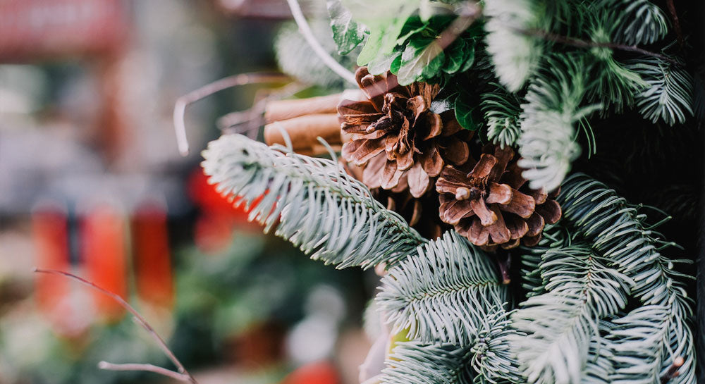 Festive Highs: 10 Reasons Cannabis Elevates Your Holiday Spirit